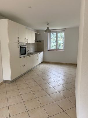 1 bed apartment Cadro renovated - Photo 1