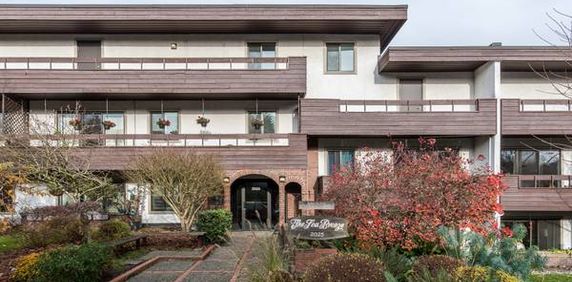 Beautiful Pet friendly suite 3 blocks from Kits Beach - Photo 2