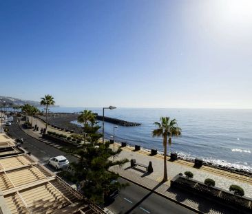 Candelaria - Foto 2