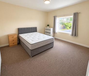 Room 4, 9 Ivy Hill, Derriaghy, Lisburn, BT28 3SL - Photo 4