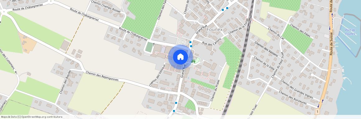 1297, Founex