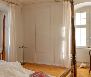 3½ Zimmer-Wohnung in Schaffhausen, möbliert, auf Zeit - Photo 3