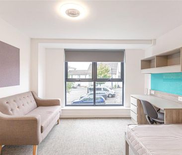 Studio to rent - Photo 4