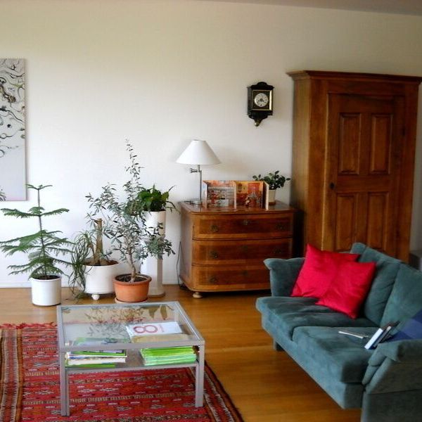 31/2 ROOM APARTMENT IN WORB (BE), FURNISHED, TEMPORARY - Foto 1