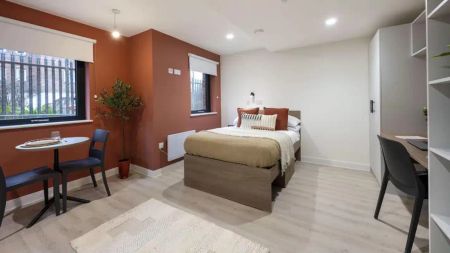 Classic Studio - Photo 5