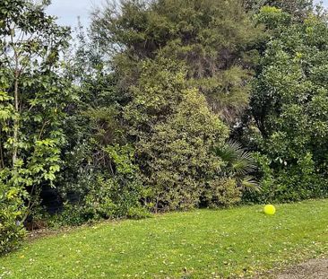 Coopie’s Cribb - Photo 5