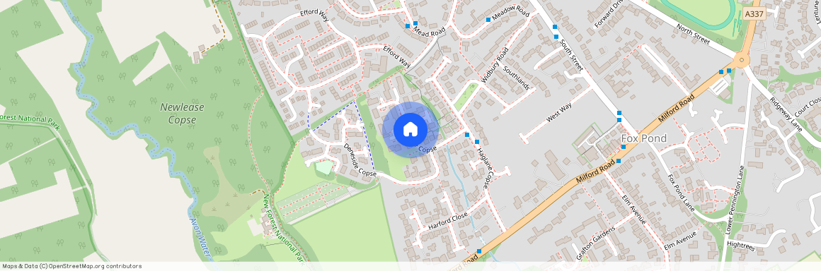 Little Dene Copse, Pennington, Lymington, Hampshire, SO41