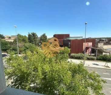 Salamanca - Foto 1