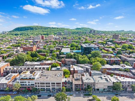4614 Rue St Denis, Montréal (Le Plateau-Mont-Royal), QC H2J - Photo 4