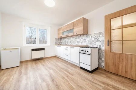 Pronájem bytu 1+1 45 m - Fotografie 5