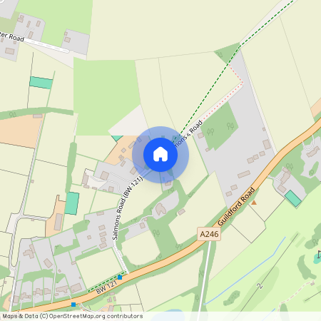 SALMONS ROAD, EFFINGHAM, KT24