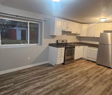 For Lease - 350 Waverly Street Unit# Basement, Oshawa, Ontario - Photo 6