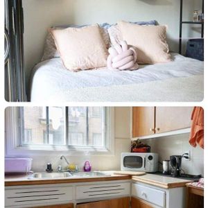 1 CH - 1 SDB - Montréal - $1,389 /mo - Photo 2