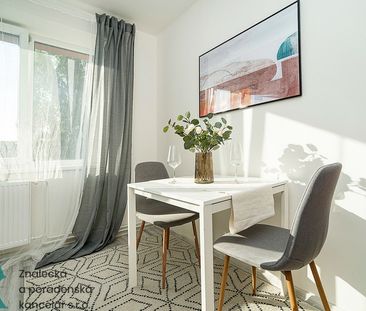 Pronájem bytu 1+kk, Ústí nad Labem - Střekov - Photo 1