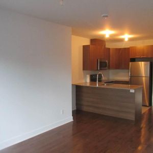 4 1/2 Plateau Mont Royal - Photo 2