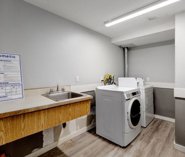 Renovated Suite - 1 Bedroom - Photo 1