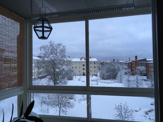 Rågången, Umeå - Photo 1