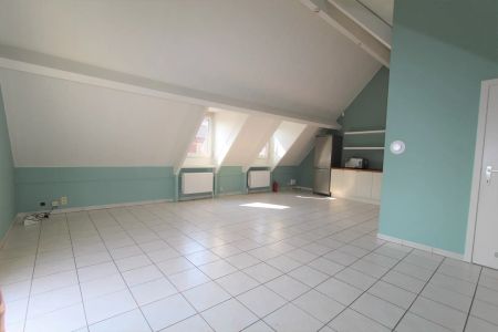 RUIM DAKAPPARTEMENT IN HET CENTRUM VAN TONGEREN - Photo 3