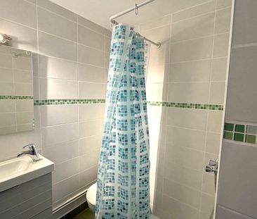 Location Appartement 1 pièce 18m² - Photo 3