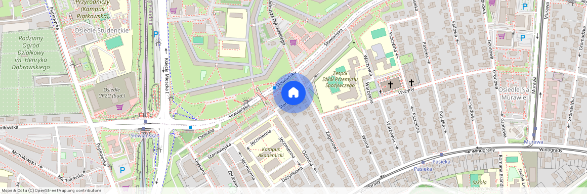 ul. Słowiańska, Winogrady, Stare Miasto, Poznań, wielkopolskie