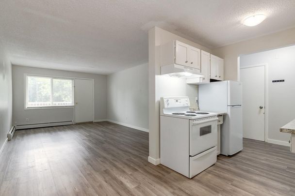 Renovated Suite - 3 Bedroom - Photo 1