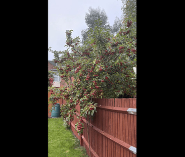 Blenheim Gardens, London, NW2 - Photo 6