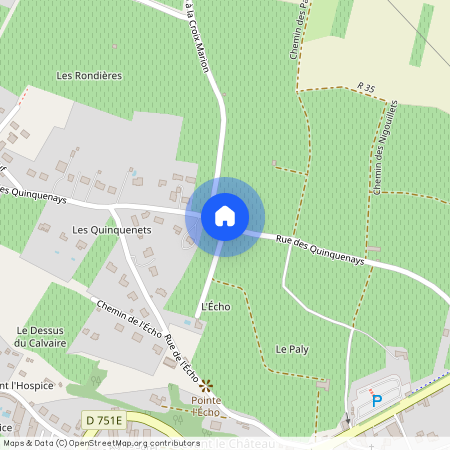 37500, Chinon