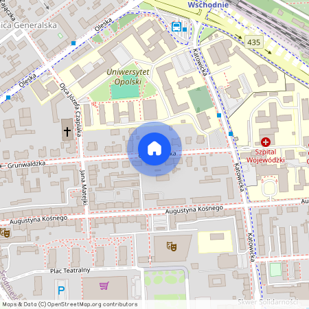 ul. Grunwaldzka, Śródmieście, Opole, opolskie