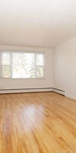 127 Fitzgibbon Ave - Photo 4