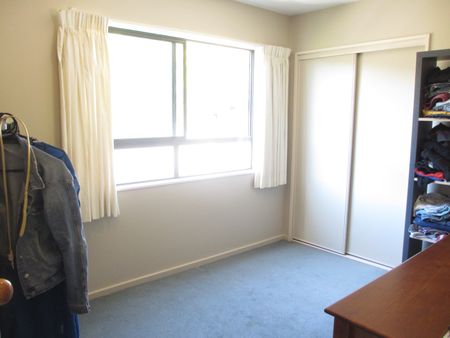 Easy Living on the Hill - 4 Bedrooms in Cashmere - Photo 4