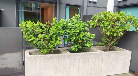 Cozy, compact 1 BR/1 BT with Patio @ Heart of City - Photo 4