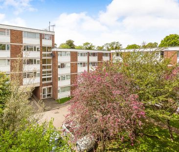 3 bedroom flat to rent - Photo 4