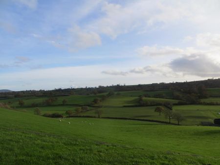 3 bedroom detached house to rent - Photo 5