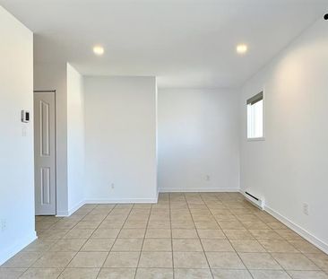 3799 Rue Normandin - Photo 3