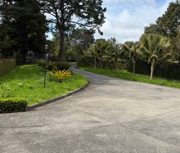 Private 1-Bedroom with all Conveniences - Photo 3