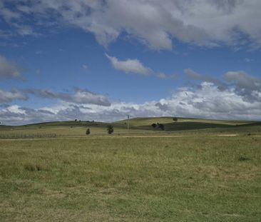 Cottage 5/116 Montavella Road - Photo 3