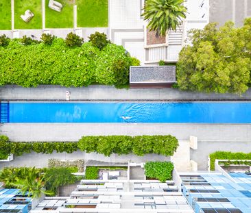 4402/6 Alexandra Drive, Camperdown NSW 2050 - Apartment For Rent | ... - Photo 3