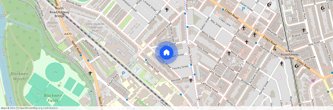 Treherbet Street, CF24 4JN, Cathays