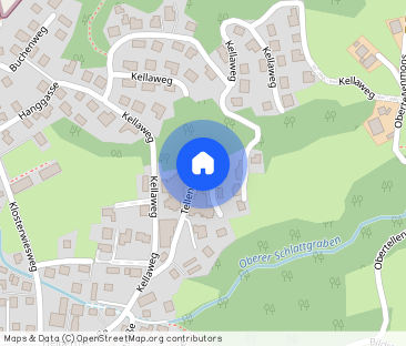 Wohnen mit Weitblick: Tolle 3-Zimmer-Terrassenwohnung in Schwarzach... - Photo 1