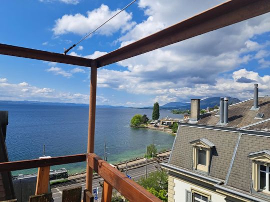 Renovated 4.5 room duplex in the city center 115 m2 with roof terrace - Photo 1