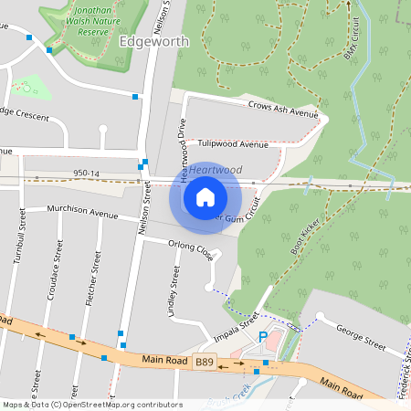 5 Silver Gum Circuit, NSW 2285, Edgeworth