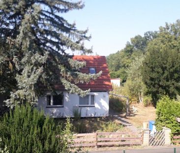 WG Zimmer 24 qm im Grünen - Foto 1