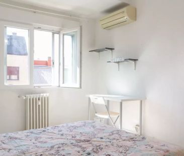 Single Bed in Room in a shared 5-bedroom apartment for rent in Bell... - Photo 1