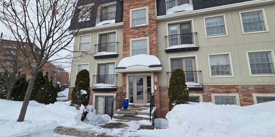 Appartement Sainte-Thérèse À Louer - Photo 3