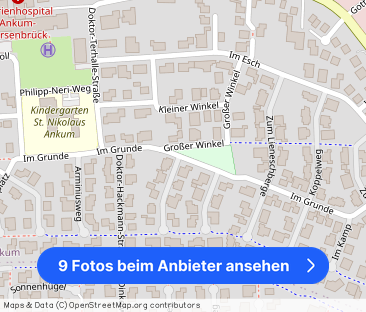 Charmante 3- Zimmer EG- Wohnung in Ankum. - Foto 1