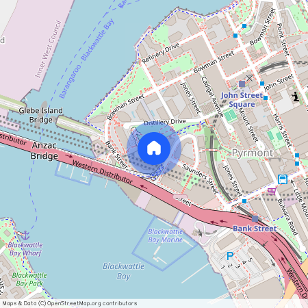 91/122 Saunders Street, NSW 2009, Pyrmont