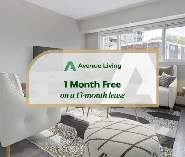 Renovated Suite - 1 Bedroom - Photo 4