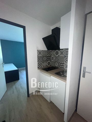 Location Appartement 1 pièce 18m² - Photo 3