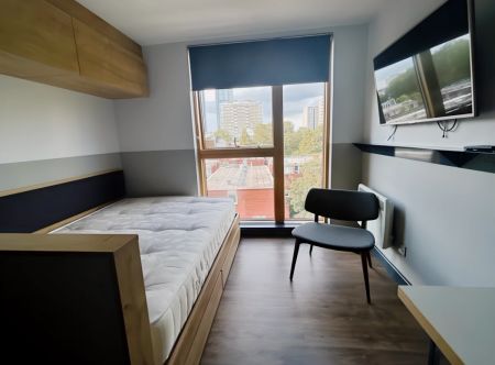 Luxury Studio - Photo 4