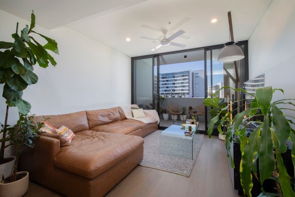 102/509 Hunter Street, Newcastle NSW 2300 - House For Rent | Domain - Photo 1